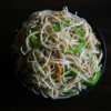 vegetable_hakka_noodles